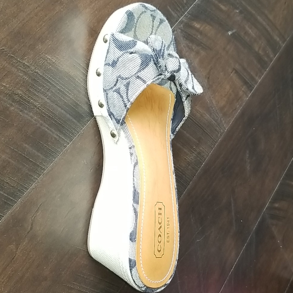 Coach Wedge